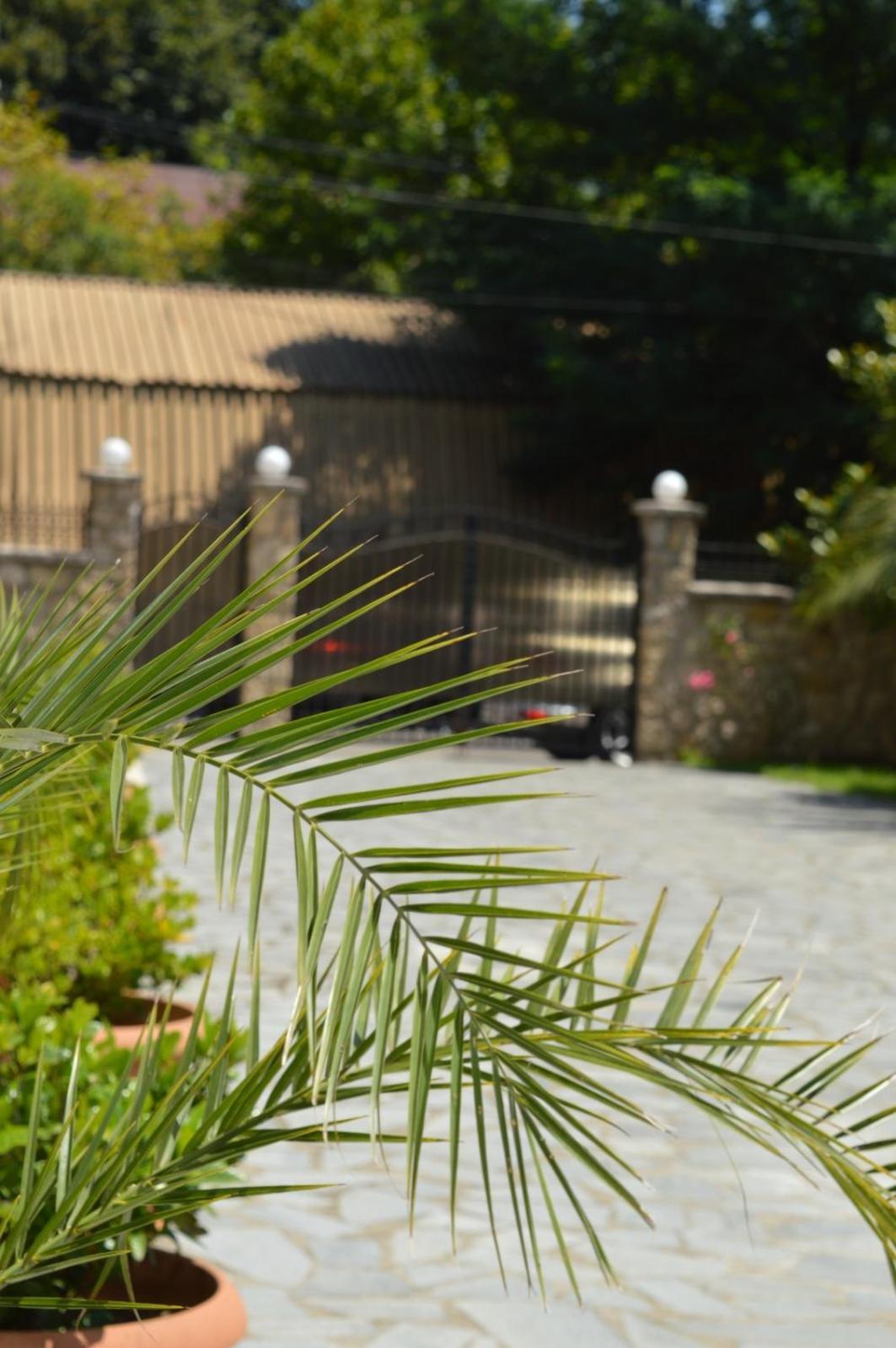Boutique Hotel Argo Kutaisi Ngoại thất bức ảnh