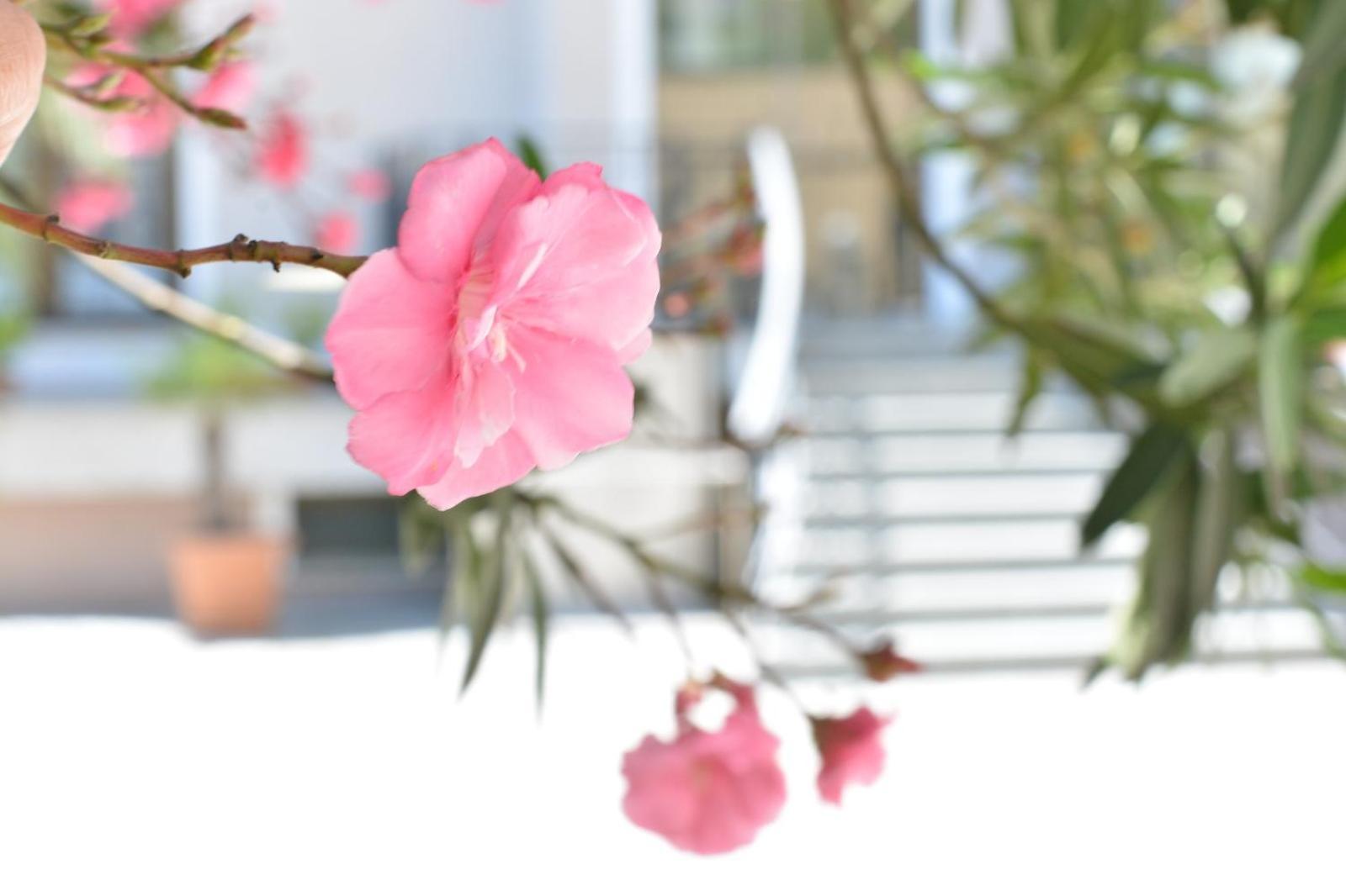 Boutique Hotel Argo Kutaisi Ngoại thất bức ảnh